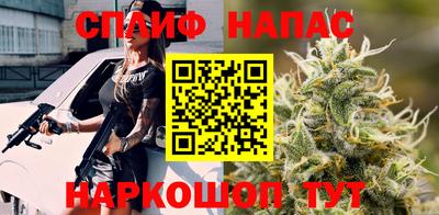 МДПВ Сланцы