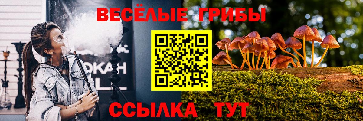 Псилоцибиновые грибы мицелий Амурск
