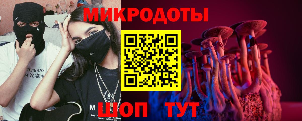 Амурск  Псилоцибиновые грибы MAGIC MUSHROOMS  Вход с VPN 